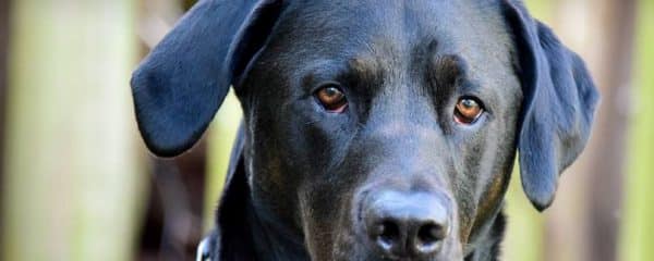Brody is stunning!!