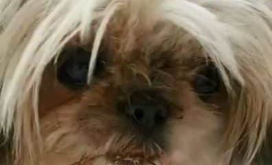 Welcome Dutchess to 100+!