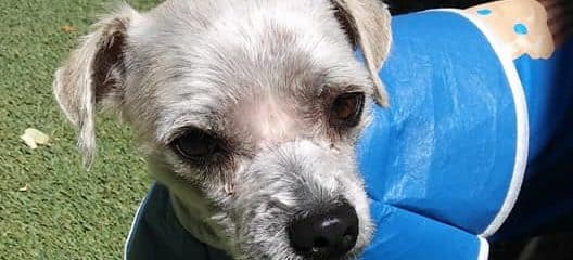 Urgent Help needed for Hank
