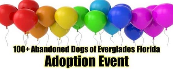 Today!! 100+ Adoption event from 12-2pm.