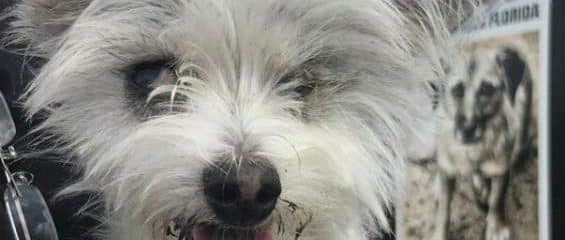 Rocky also came by today!