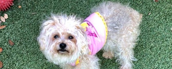 Welcome Gilda to her new life.