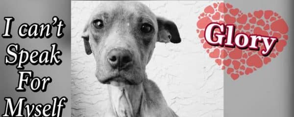 PLEASE HELP US HELP GLORY