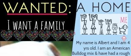 Our sweet Albert is still waiting for his family.