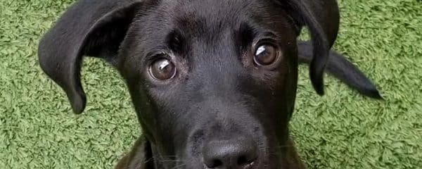 Our little Anastasia is ADOPTED!!!
