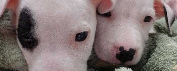 There are not enough words to describe our heartbreak..
