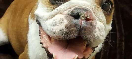 PLEASE we are asking for your Prayers for Stella who is Fighting so very Hard.