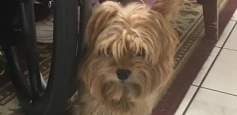 UPDATE: OWNER FOUND!