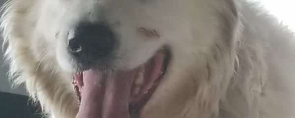 Rocky is Safe!!!