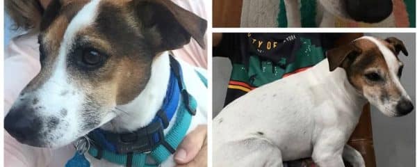 UPDATE!! REUNITED WITH HIS FAMILY!