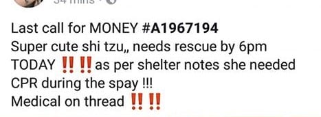 10.00 Challenge to save this Life Honey!