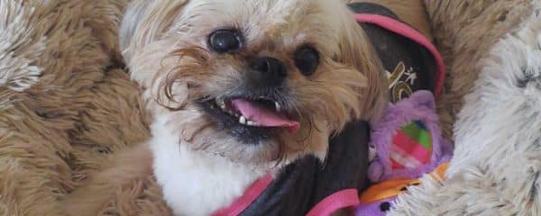UPDATE ON OUR SWEET HONEY