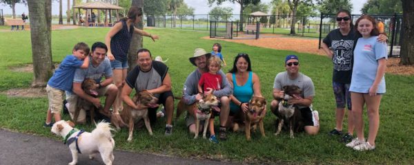 Puppy reunion!!!!