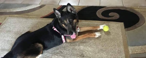PLEASE CONSIDER OPENING UP YOUR HEART TO LEYNA.