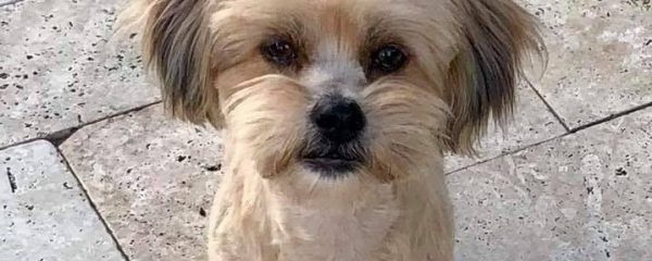 GOOD MORNING UPDATE ON ANNY!