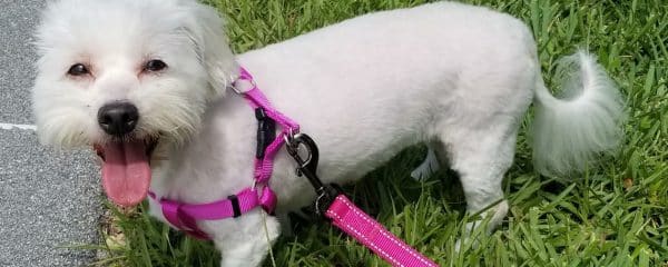 Little Maddy..