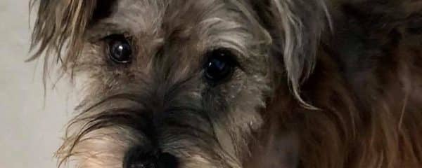 Ernie update