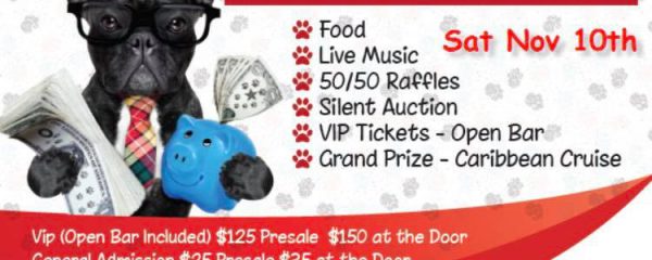 We have an Amazing Fundraiser coming up soon!