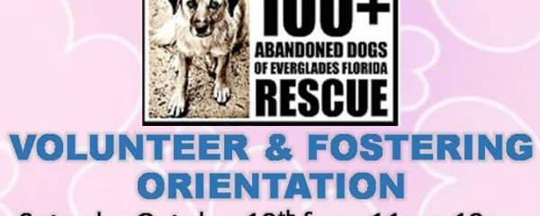 New Volunteer Orientation!