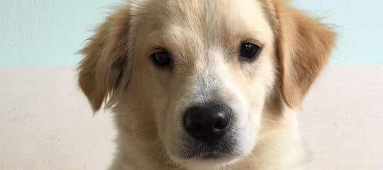 Welcome Oliver to 100+